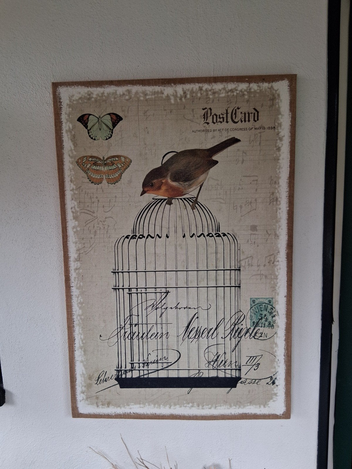 Schilderij met vogel en kooi - Vintage stijl, Ophalen, 50 – 75, Minder dan 50 cm, Zo goed als nieuw