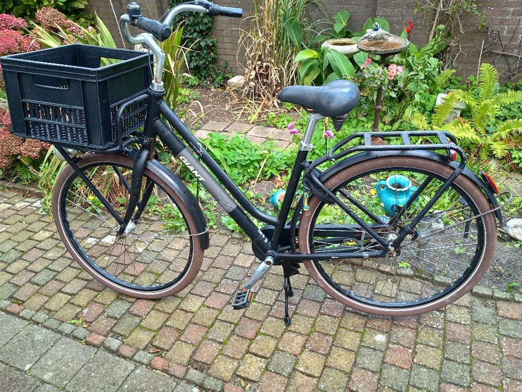 fiets, Fietsen en Brommers, Terugtraprem, Gebruikt, Versnellingen, Giant