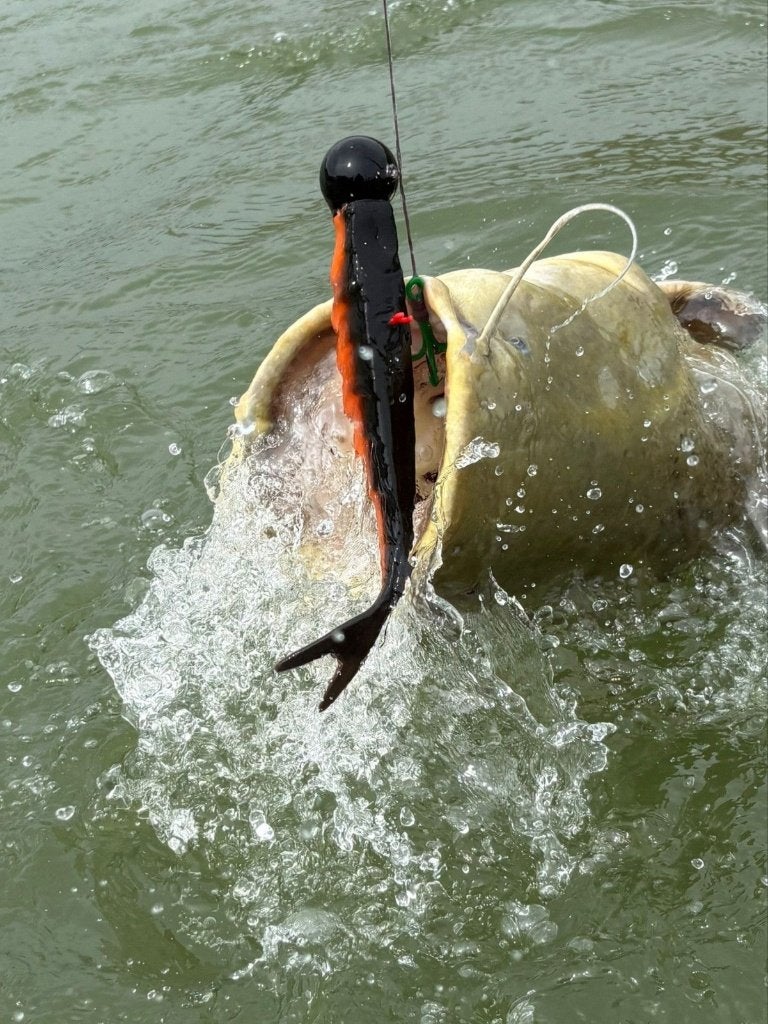 Pelagic Jighead Screw Jig Schroeflood vislood t/m 350 Gr., Watersport en Boten, Ophalen of Verzenden, Nieuw, Dobber of Lood