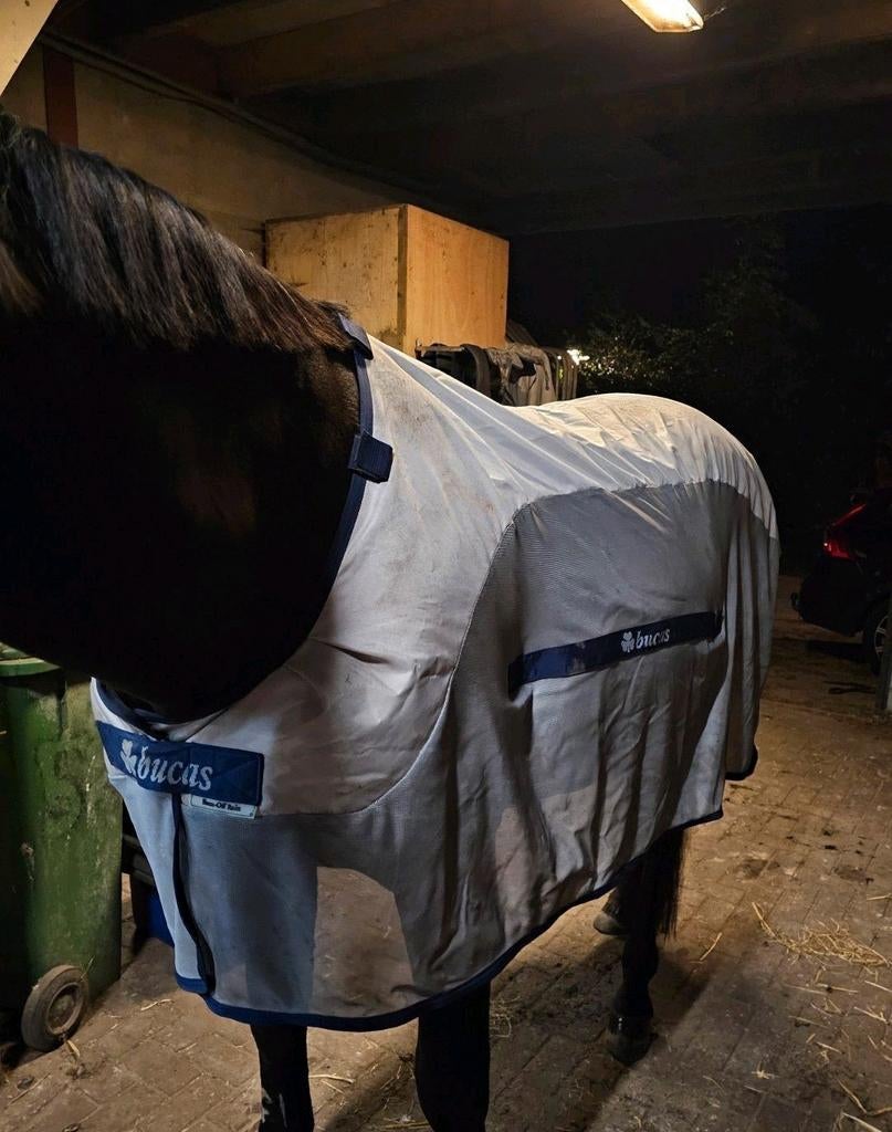 Bucas Buzz of Rain inclusief hals maat 205, Dieren en Toebehoren, Paarden en Pony's | Dekens en Dekjes, Ophalen