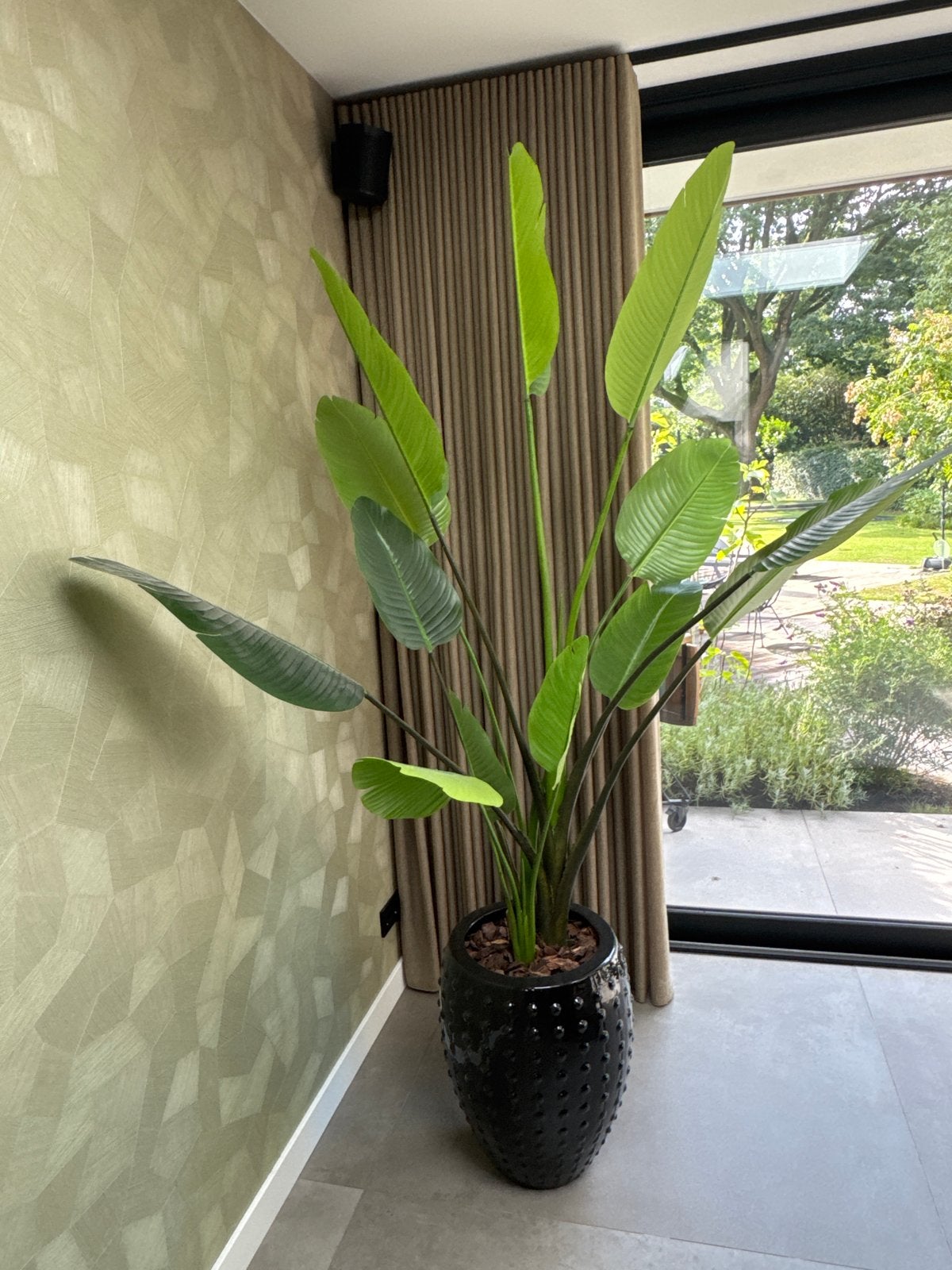 Grote luxe kunst Strelitzia in Zwarte Pot, Ophalen, 200 cm of meer, Overige soorten, Halfschaduw