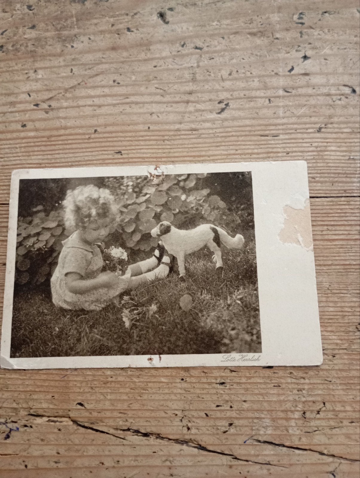 Vintage Kind + schaap  1929 ansichtkaart Leiden pastorHercke, Ophalen of Verzenden, Overige typen