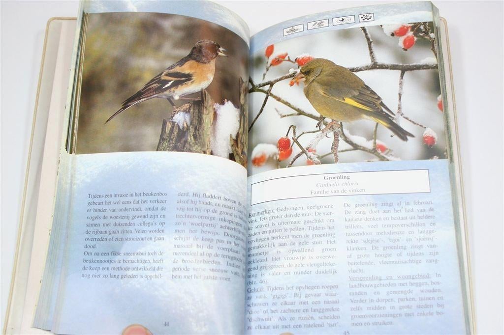 Vogels op en rond de Voederplank — Herkennen & Lokken, Ophalen of Verzenden, Gelezen, Vogels