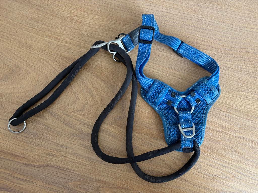 Knal blauw hondentuig, Ophalen of Verzenden, Zo goed als nieuw, Hondenriem
