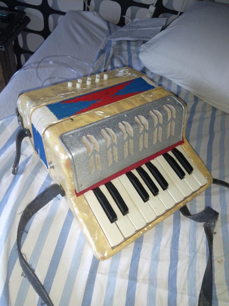 Kleine accordeon, Muziek en Instrumenten, Accordeons, Ophalen of Verzenden, Gebruikt, Overige merken