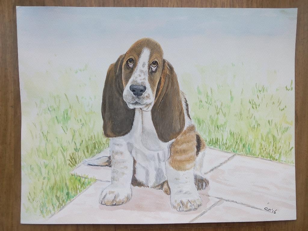 Aquarel basset hond. (35 x 27 cm), Ophalen, Minder dan 50 cm, Oorspronkelijke maker, Nieuw