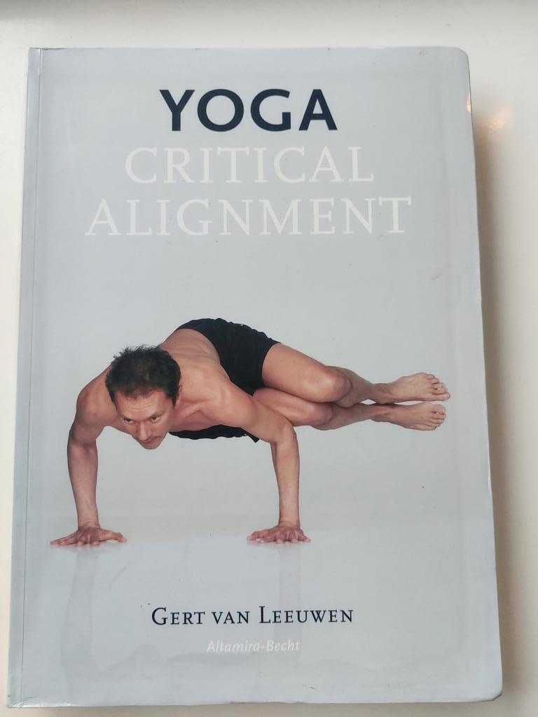 Yoga critical alignment- Gert van Leeuwen, Sport en Fitness, Yoga en Pilates, Ophalen of Verzenden, Yogamat