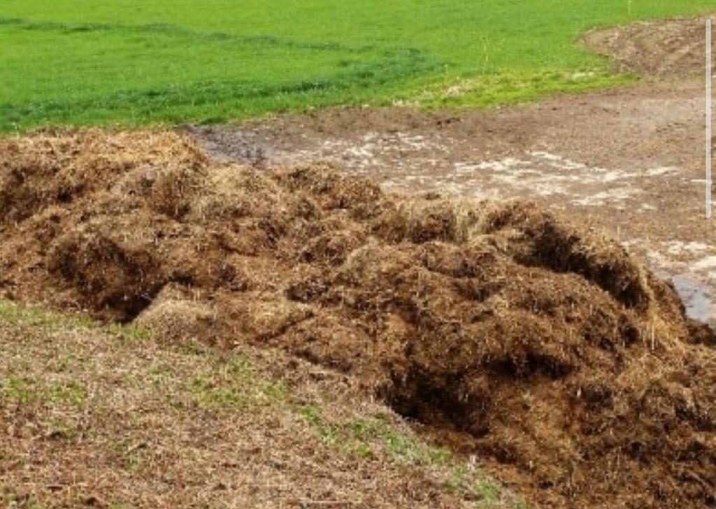 Paardenmest gratis af te halen (ridderkerk), Ophalen of Verzenden