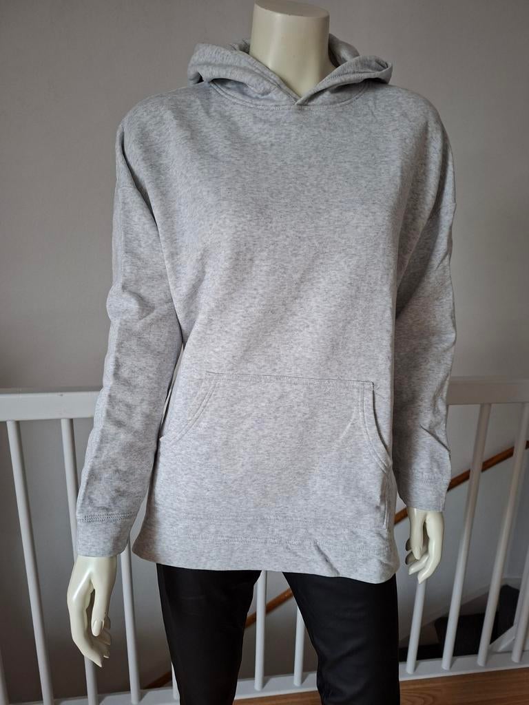 Trui Hoodie grijs Maat L zo goed als nieuw L - XL, Kleding | Dames, Maat 42/44 (L), Ophalen of Verzenden, Zo goed als nieuw, Grijs