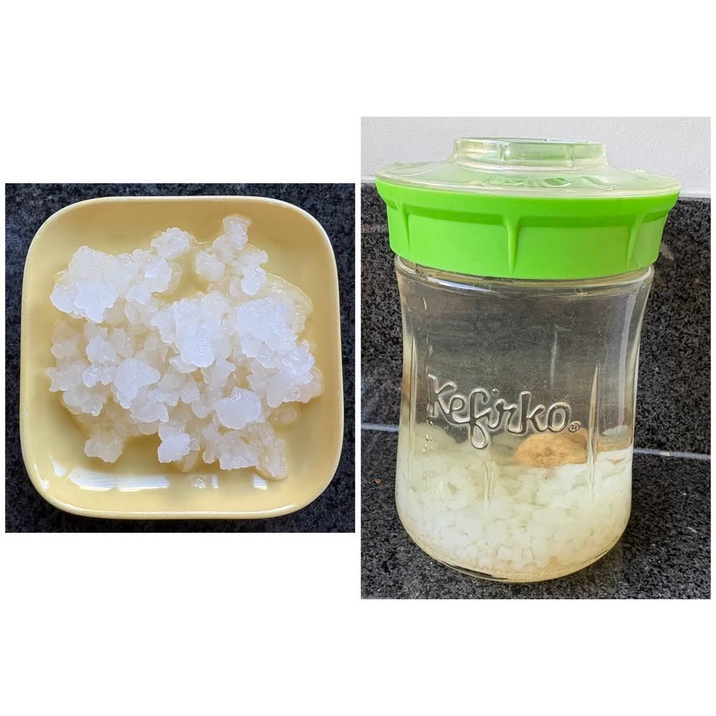 Water kefir korrels €5,00 incl verzenden. (Ophalen = gratis), Ophalen