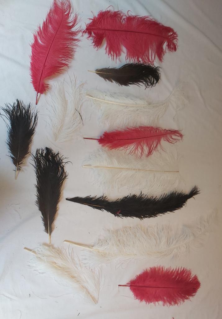Set nieuwe mooie struisvogel veren (A) div kleuren, Ophalen of Verzenden, Nieuw, Meerdere media, Kunst en Creatief