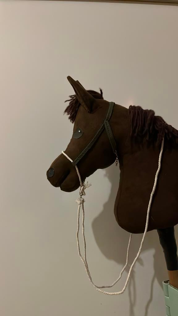 Leuk hoofdstel voor stokpaard/ hobby horse, Ophalen of Verzenden, Nieuw, Overige typen