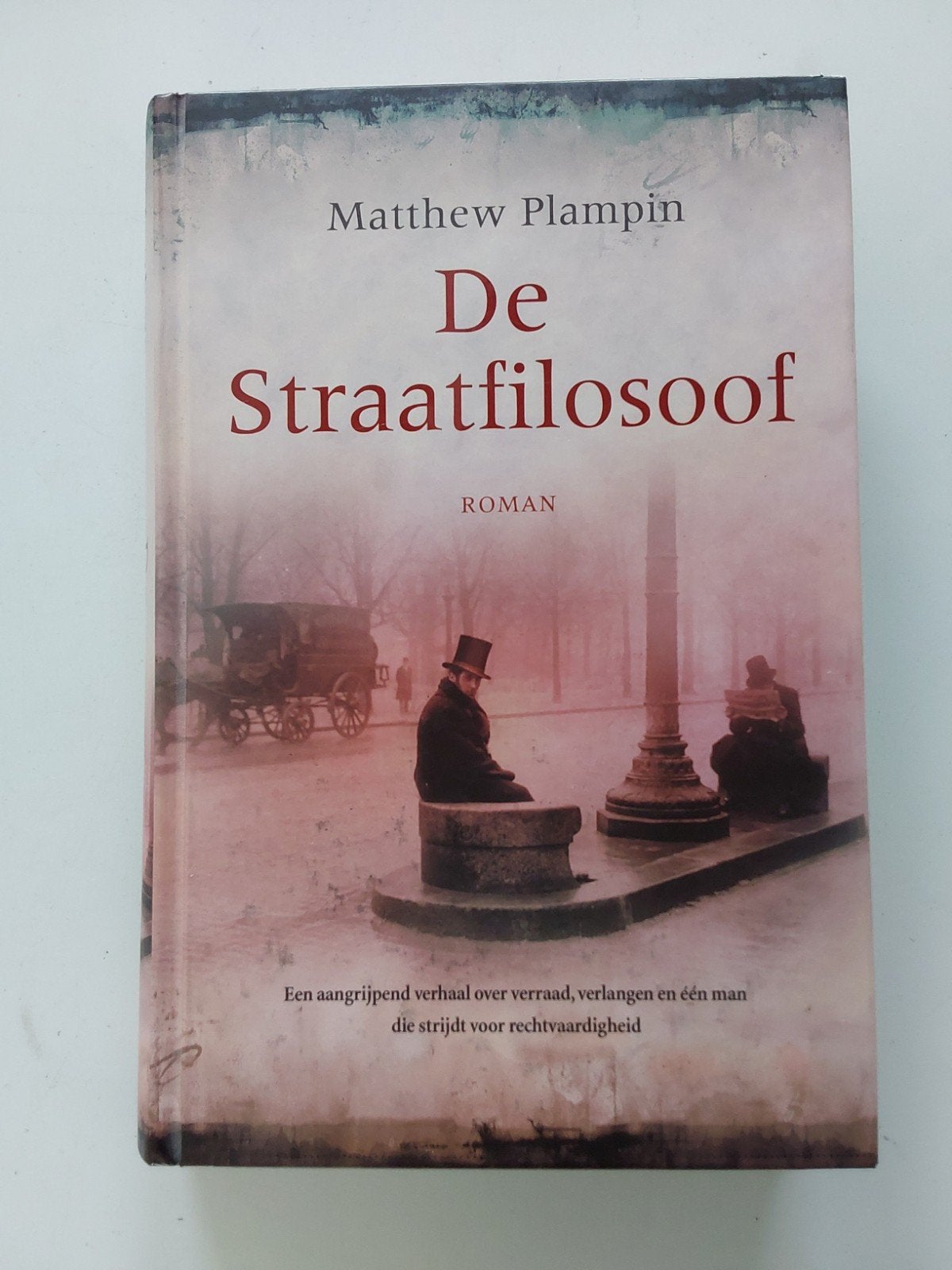 Matthew Plampin : De Straatfilosoof, Ophalen of Verzenden, Zo goed als nieuw, Matthew Plampin