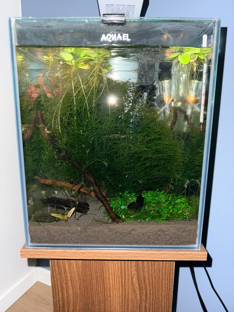 Mooie nette aquarl 30liter aquarium, Ophalen of Verzenden, Aquael, Inclusief vissen, Gevuld zoetwateraquarium