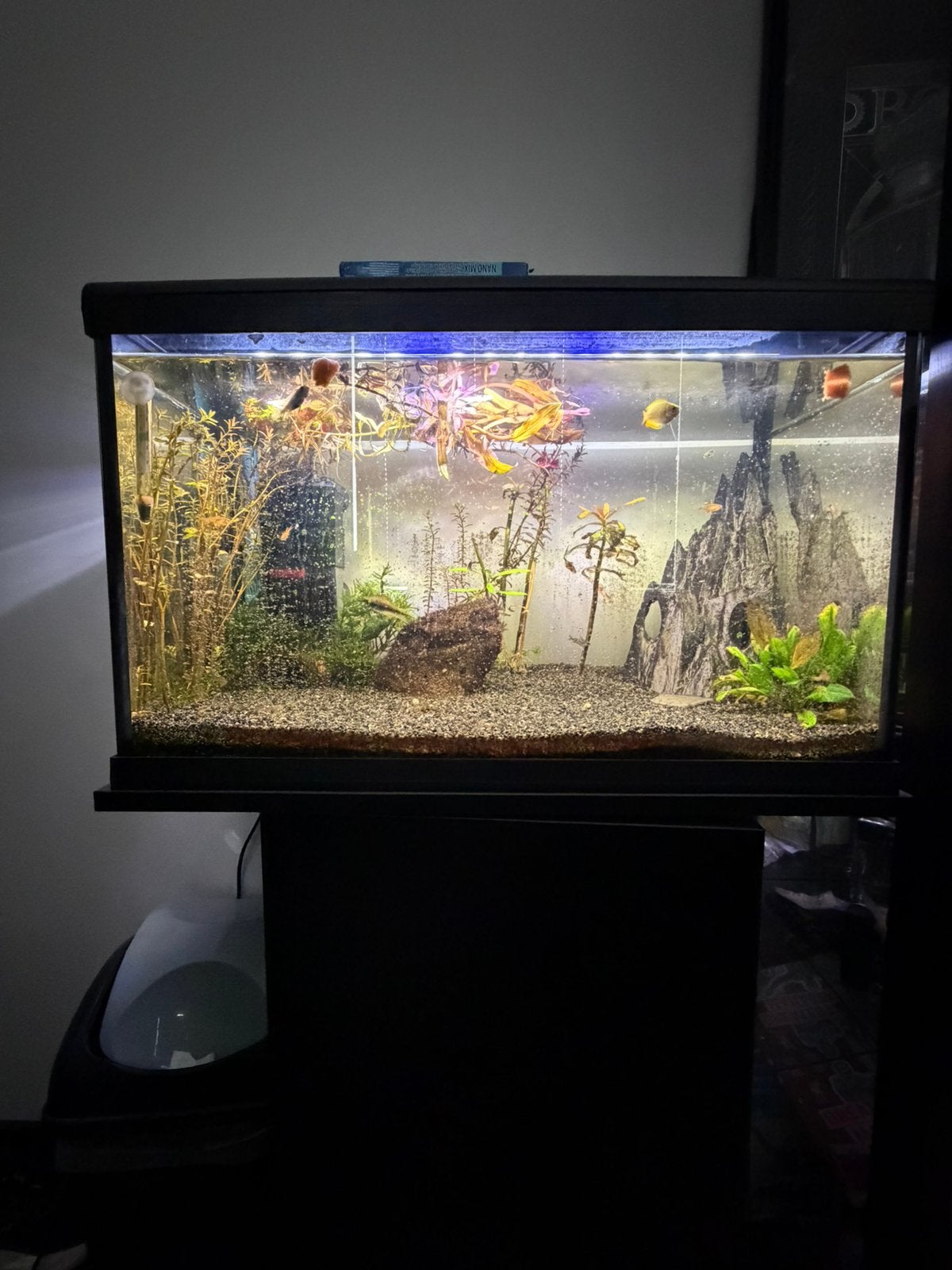 Aquarium van HS Aqua, Dieren en Toebehoren, Vissen | Aquaria en Toebehoren, Ophalen, HS Aqua, Gevuld zoetwateraquarium, Inclusief vissen