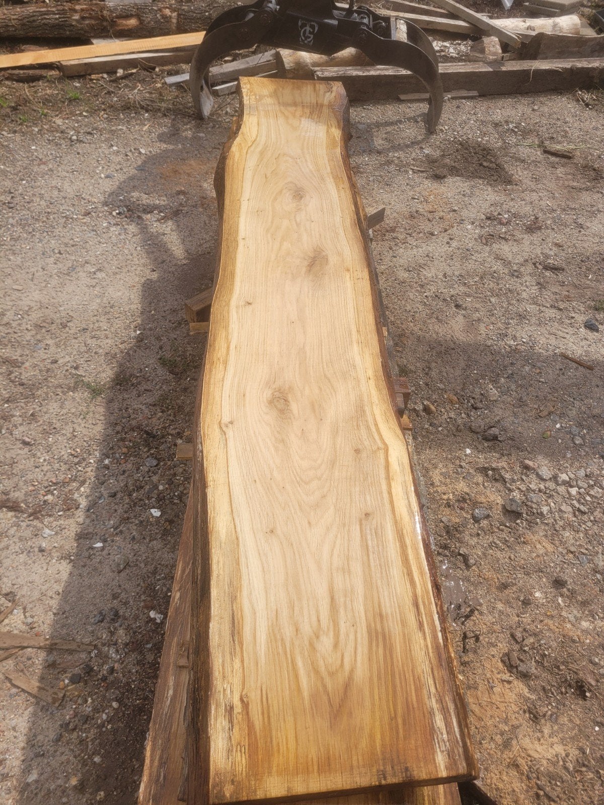 schaaldeel boomplank wandplank INLANDS EIKEN, Tuin en Terras, Ophalen of Verzenden, Nieuw, 180 tot 250 cm, Planken
