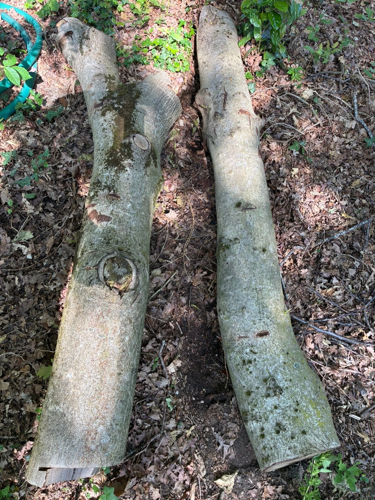 Walnoten walnoot stammen hout snij of draaien, Minder dan 3 m³, Ophalen
