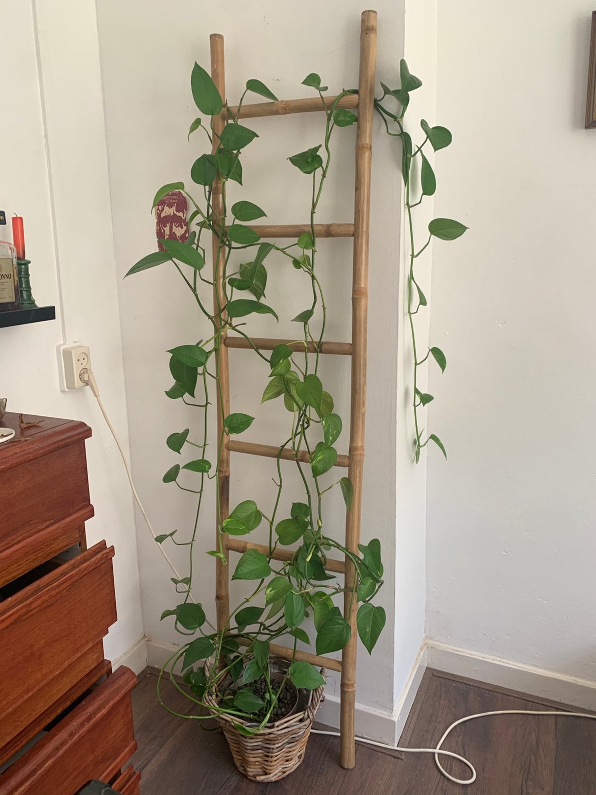 Bamboo Ladder, Ophalen, Gebruikt
