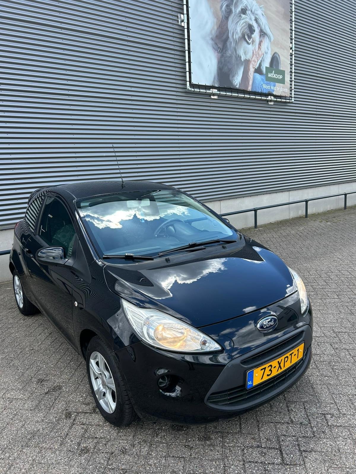 Ford Ka / Apk / Airco, Auto's, Voorwielaandrijving, Euro 5, Gebruikt, 1242 cc