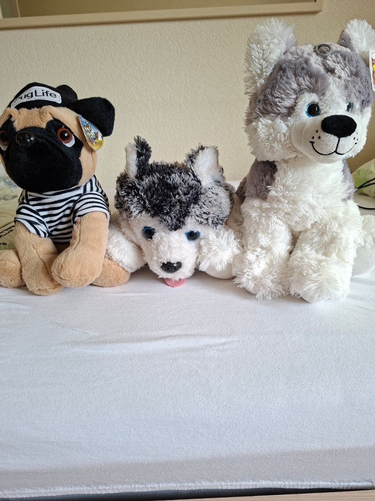 Set van 3 zachte hondenknuffels: Mopshond en Huskies, Zo goed als nieuw, Hond, Ophalen of Verzenden, Meerkleurig