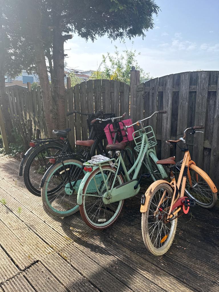 Fietsen, Gebruikt, 47 tot 50 cm, Schijfrem, Ophalen