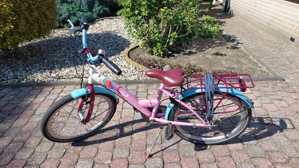 Kinderfiets Alpina met 22 inch wielen, Ophalen, Gebruikt, 20 inch of meer