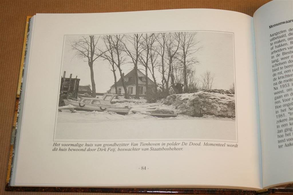 De Biesbosch ten tijde van het getij., Boeken, Ophalen of Verzenden, Zo goed als nieuw