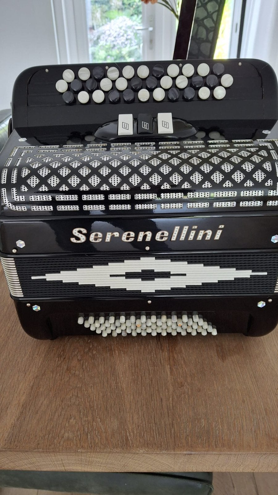 Accordeon/trekzak, Met koffer, Zo goed als nieuw, Knopaccordeon, 120-bas