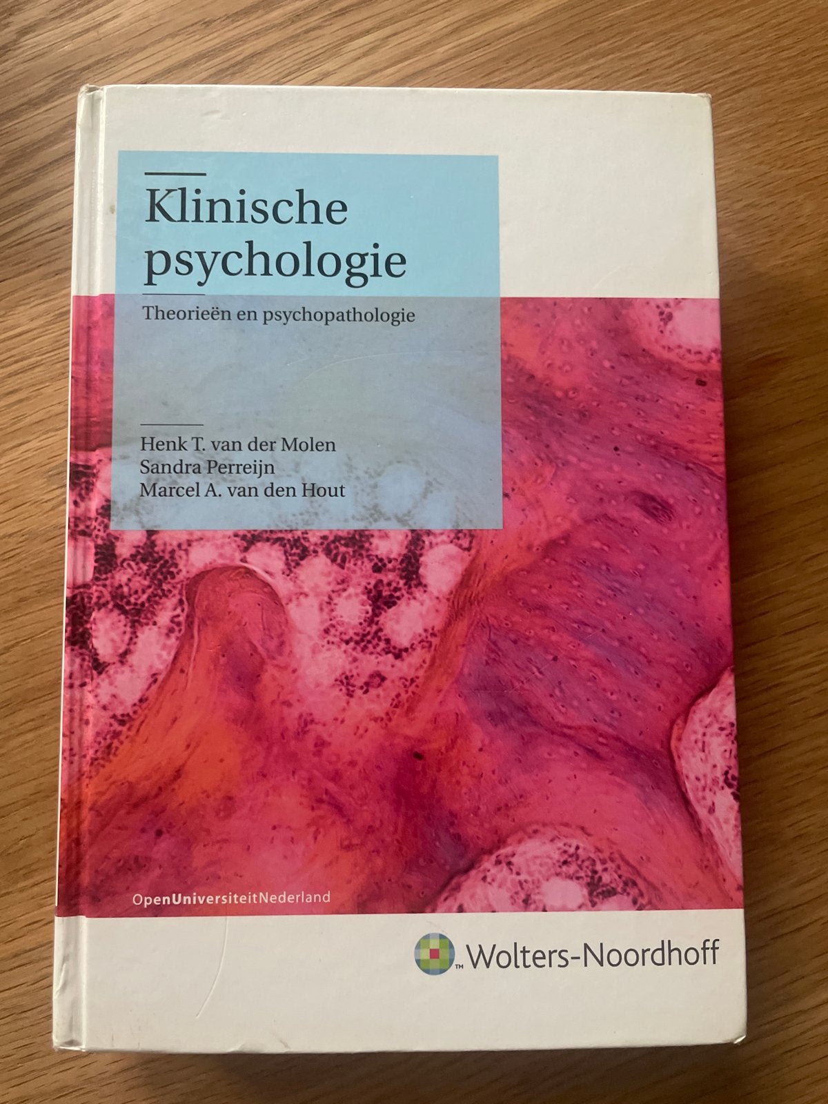 Klinische psychologie: Theorieën en psychopathologie, Ophalen of Verzenden, Gelezen, Klinische psychologie