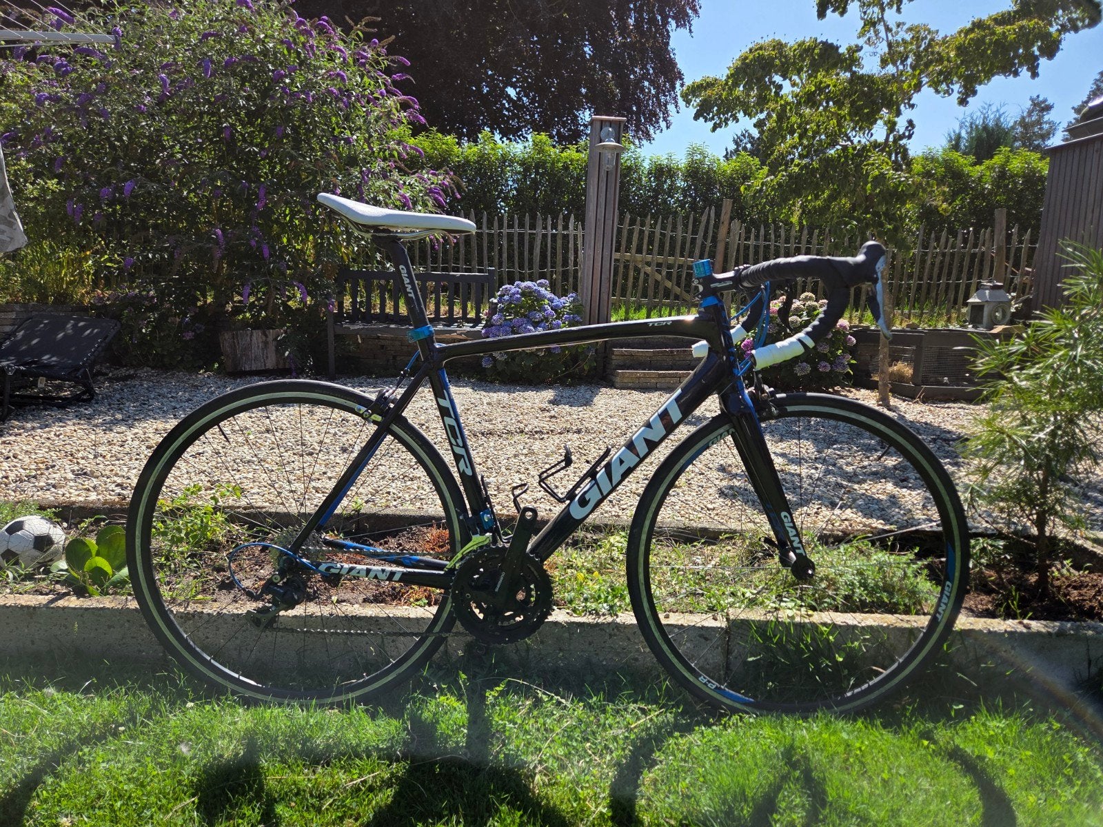 Giant TCR (M/L) Shimano 105, Ophalen, 28 inch, Gebruikt, Aluminium