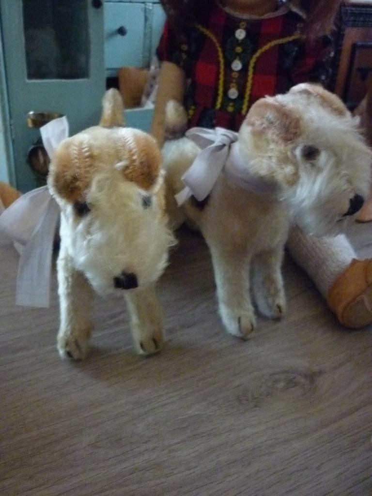 2 Oude Fox Terriers, met glazen oogjes, van Steiff., Verzenden