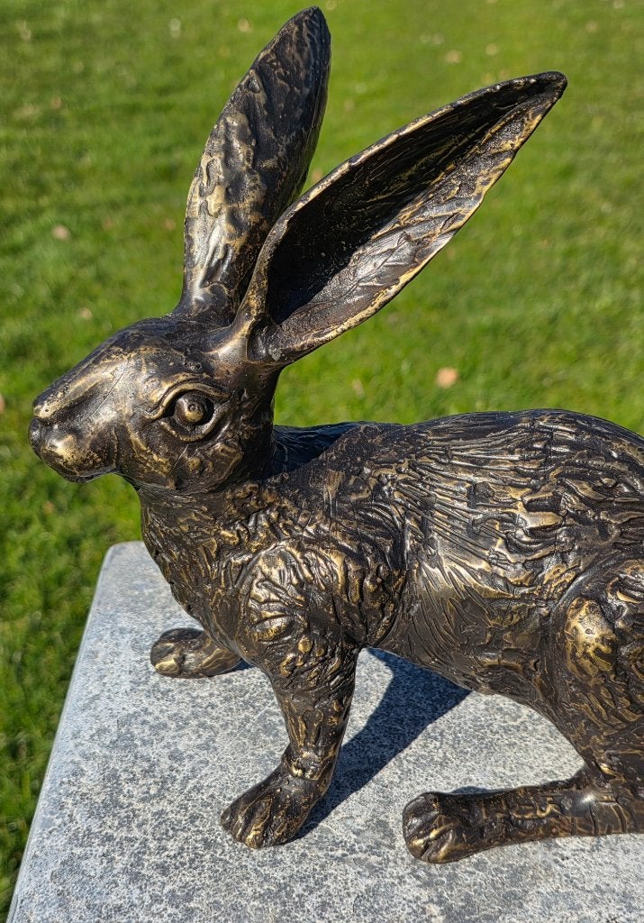 HAAS / bronzen tuinbeeld / brons, Nieuw, Info@huisentuindecoratiemarie.nl, Huis en tuin decoratie marie, Dierenbeeld