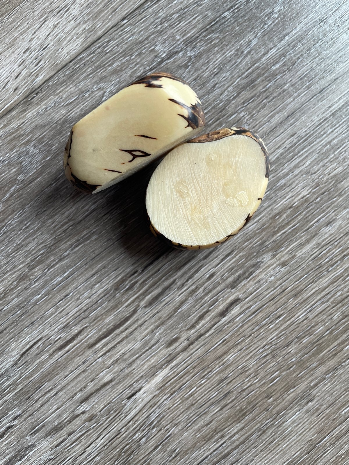 2 stukken plantaardig ivoor, Ophalen of Verzenden