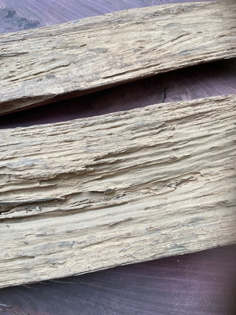 Moerashout drijfhout fossiel hout, Ophalen, Fossiel