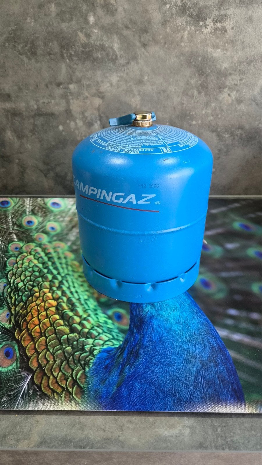 Campingaz VOLLE gasfles 2,75 kg, Ophalen, Nieuw