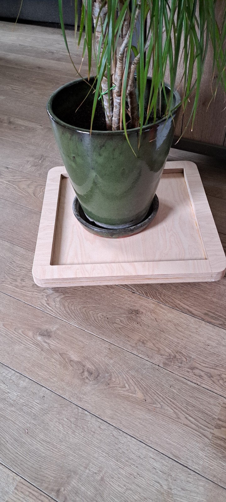 stevige plantenroller, Ophalen of Verzenden, Rond, Minder dan 25 cm, Minder dan 40 cm