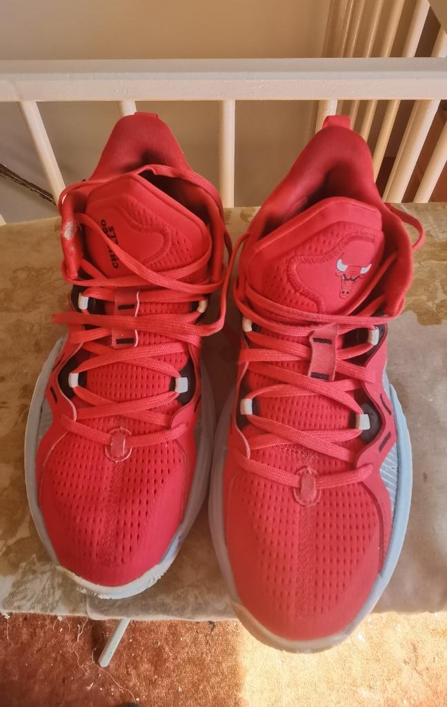 Basketbalschoenen, Ophalen, Gebruikt, Schoenen