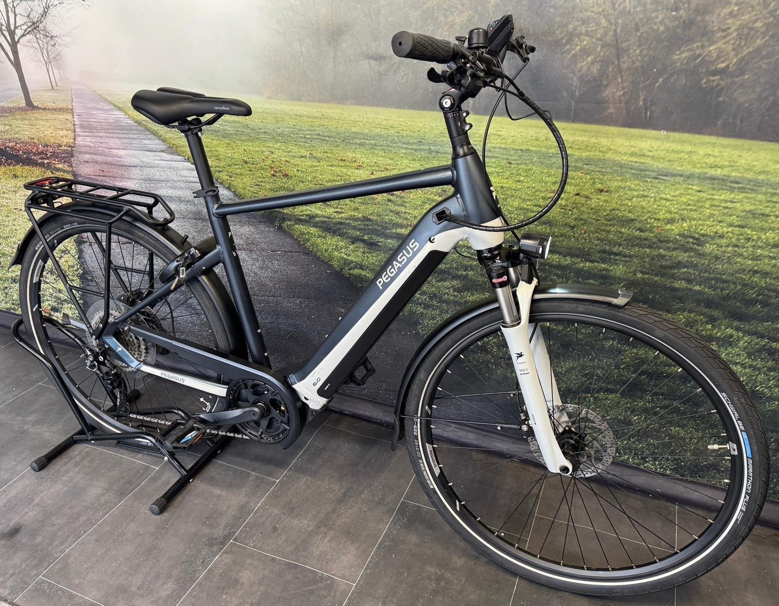 Pegasus Premio Evo 10 Lite - Elektrische fiets - 750WH Accu, Overige merken, 55 tot 59 cm, Longericher Straße 2, 50739 Keulen, Duitsland