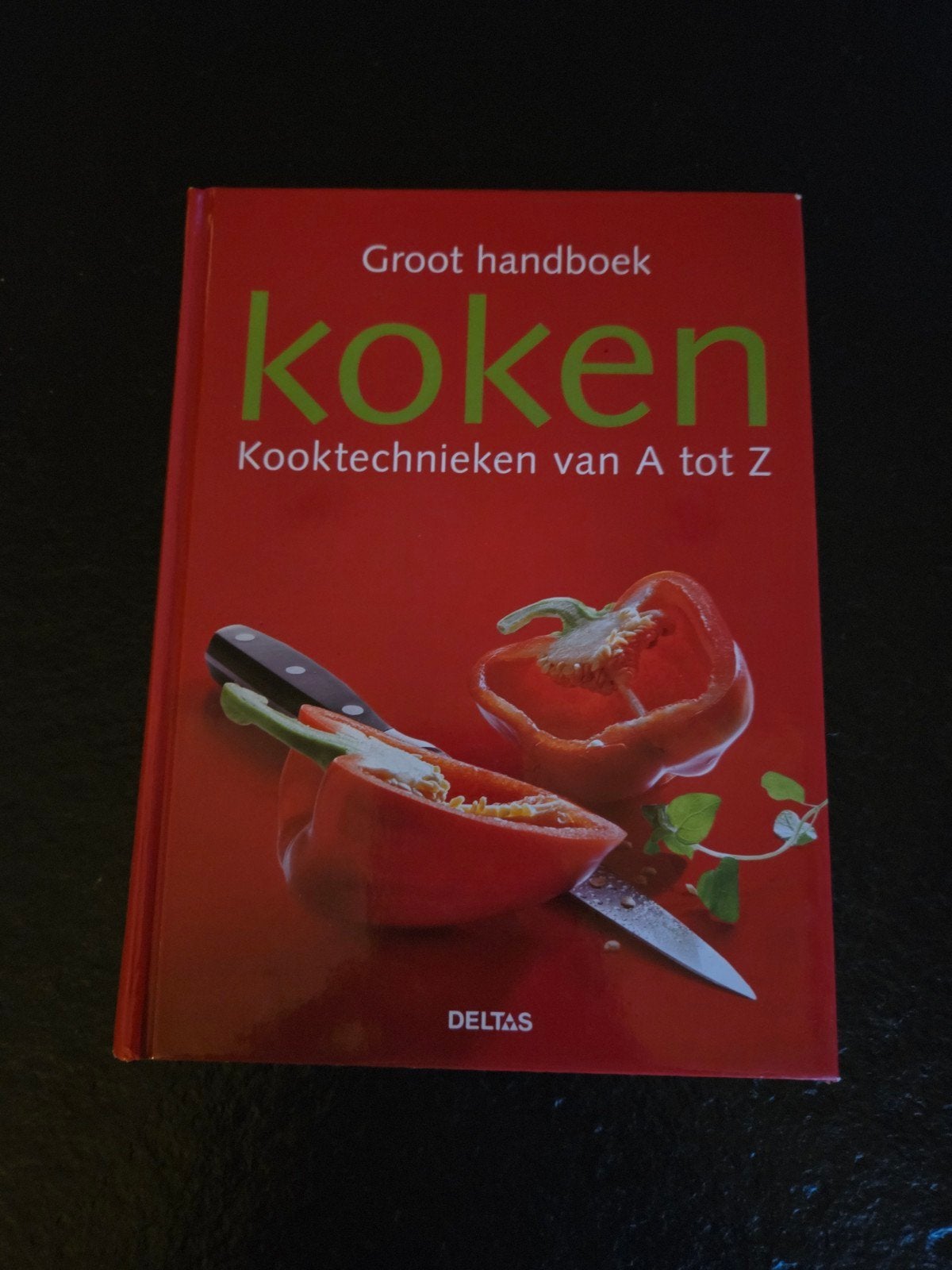 Groot handboek koken - Kooktechnieken van A tot Z, Ophalen of Verzenden, Zo goed als nieuw