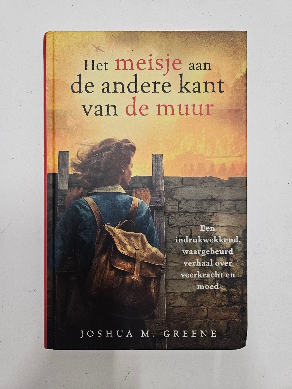 Joshua M. Greene - Het meisje aan de andere kant van de muur, Boeken, Ophalen of Verzenden, Zo goed als nieuw, Joshua M. Greene