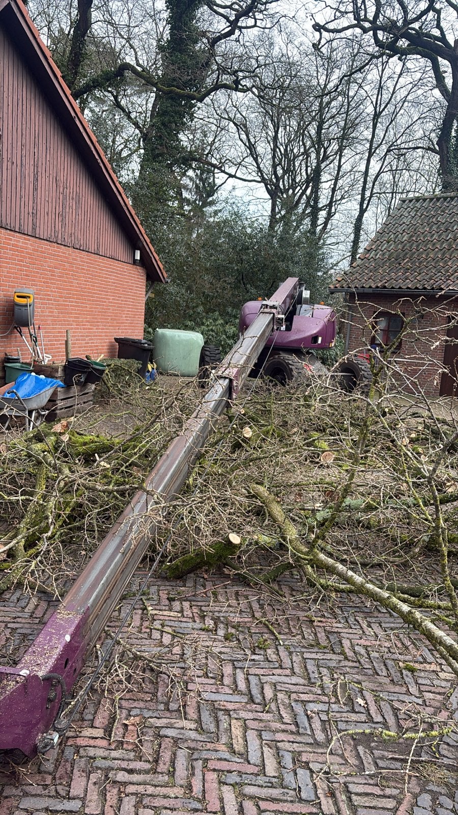 Bomen verwijderen en snoeien, Tuinonderhoud of Snoeiwerk