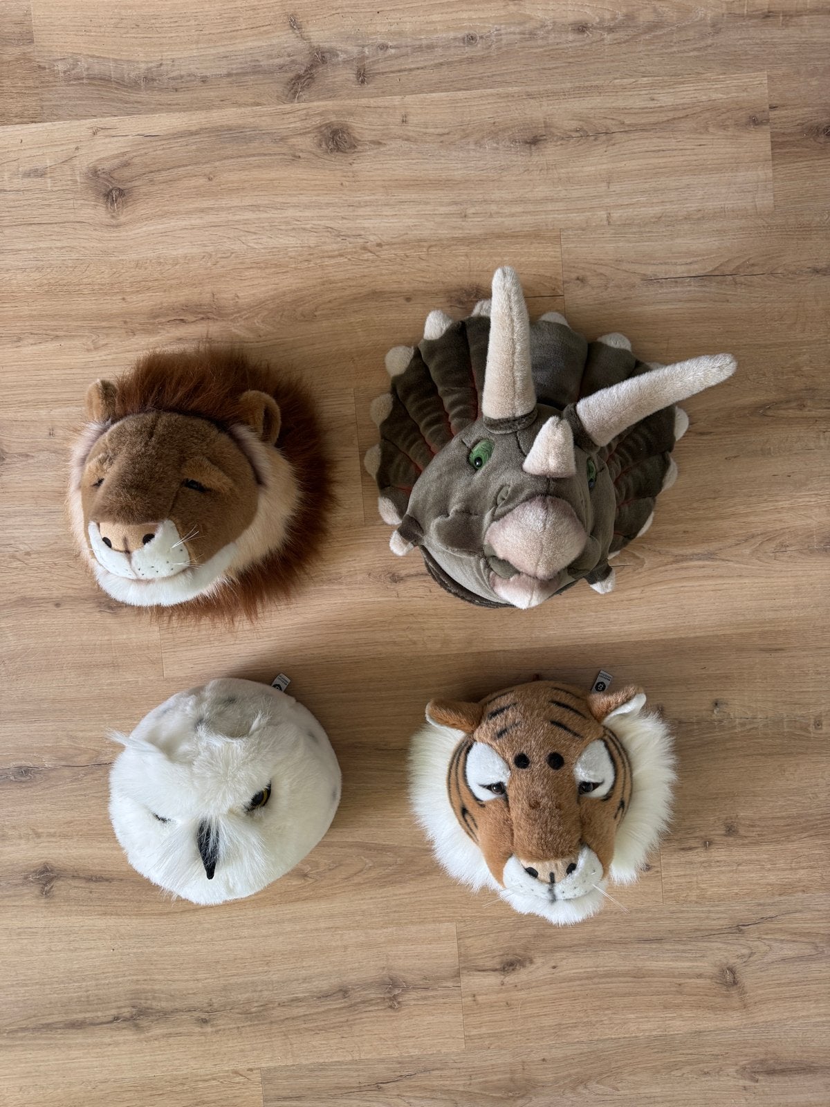 Wild & Soft Dierenkoppen - Leeuw, Tijger, Uil, Dino, Overige merken, Ophalen of Verzenden, Middelgroot (20 tot 80 cm), Leeuw
