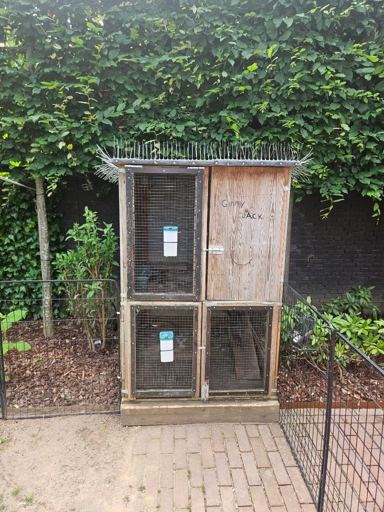 konijnen of kippen kooi, Ophalen, Kooi, 110 cm of meer, Zo goed als nieuw