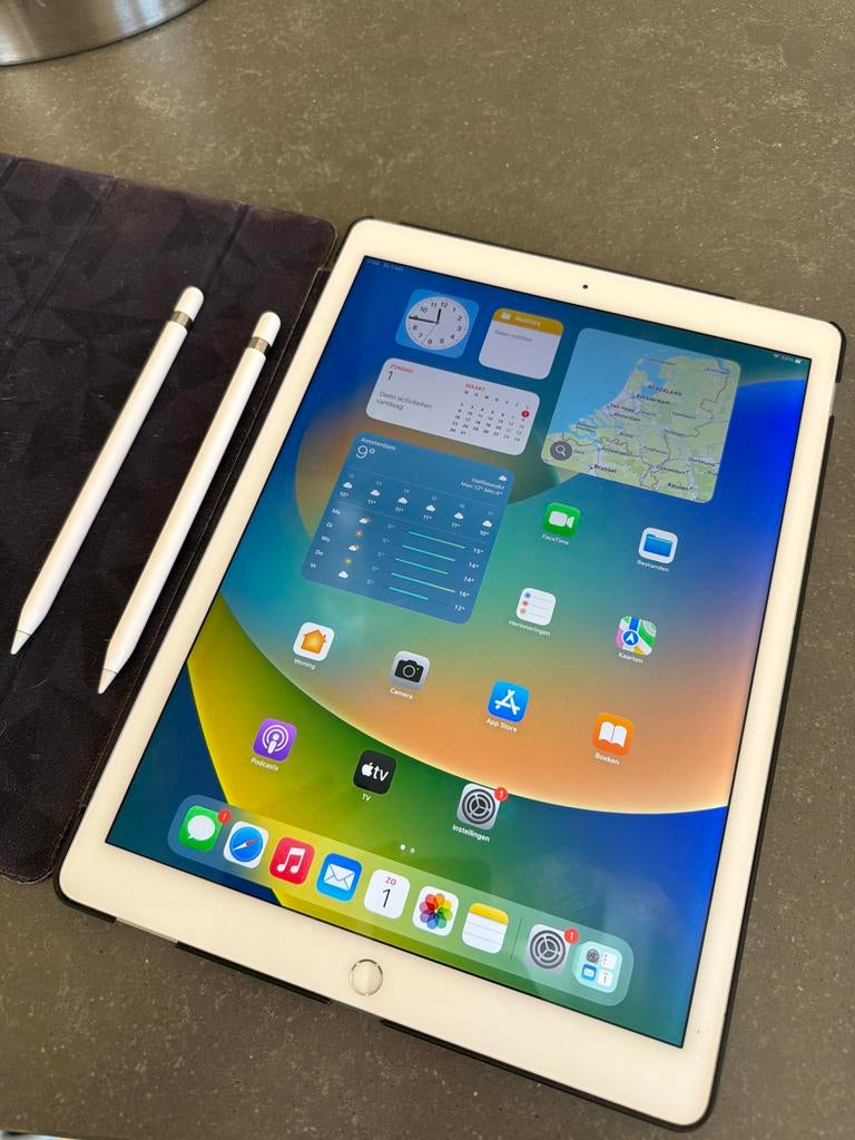 Apple iPad Pro 12.9" 128GB Wi-Fi + Cellular plus pencil, Gebruikt, 12 inch, Ophalen of Verzenden, Apple iPad Pro