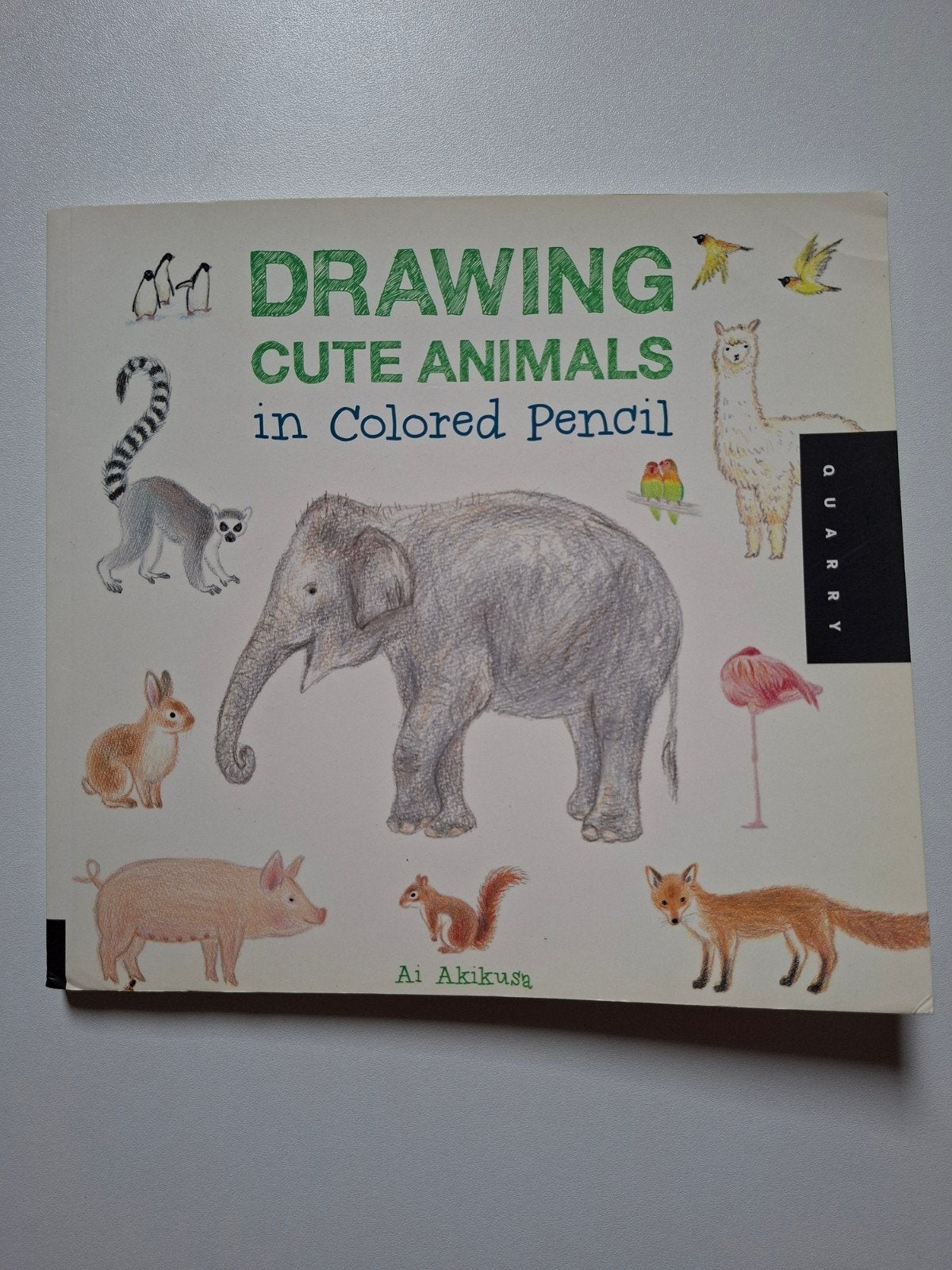 Drawing Cute Animals in Colored Pencil - Tekenboek, Ophalen of Verzenden, Boek of Gids