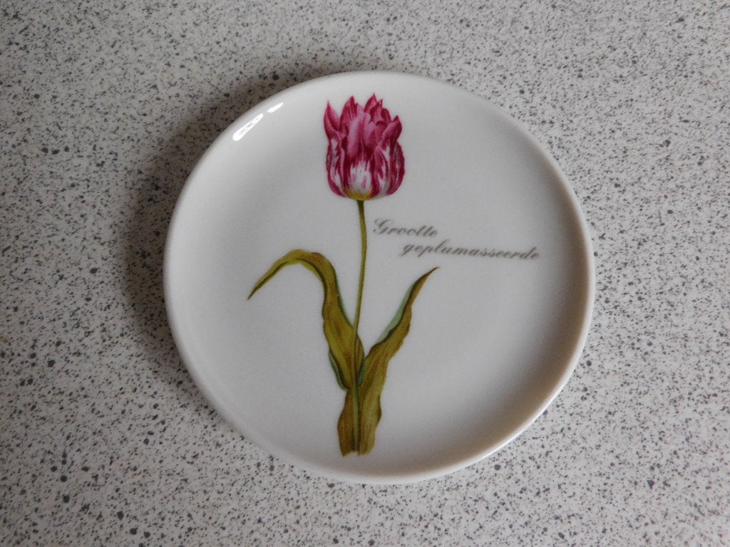 Bord 10 cm. Geplumasseerde Holland Gallery de Munt Amsterdam, Overige merken, Ophalen of Verzenden, Zo goed als nieuw, Bord(en)