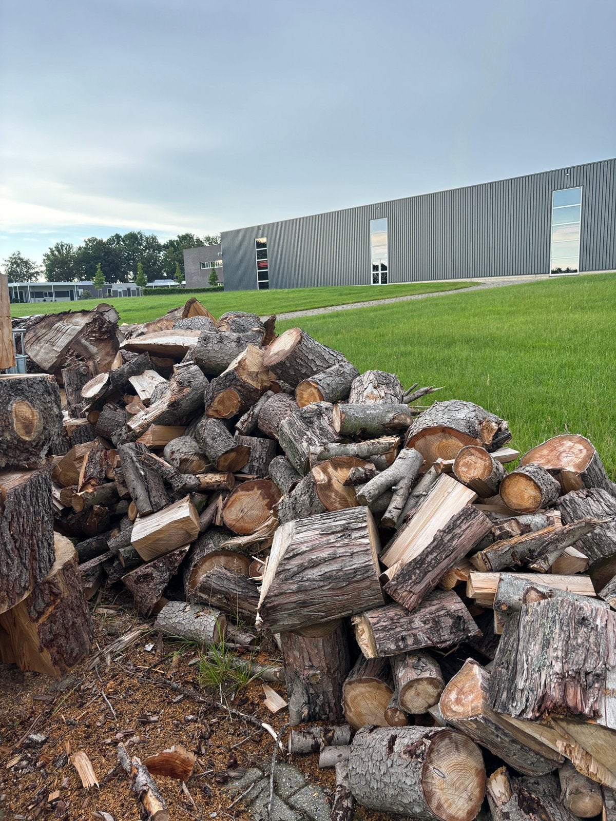 Haardhout ongekloofd, 6 m³ of meer, Ophalen, Overige houtsoorten, Blokken