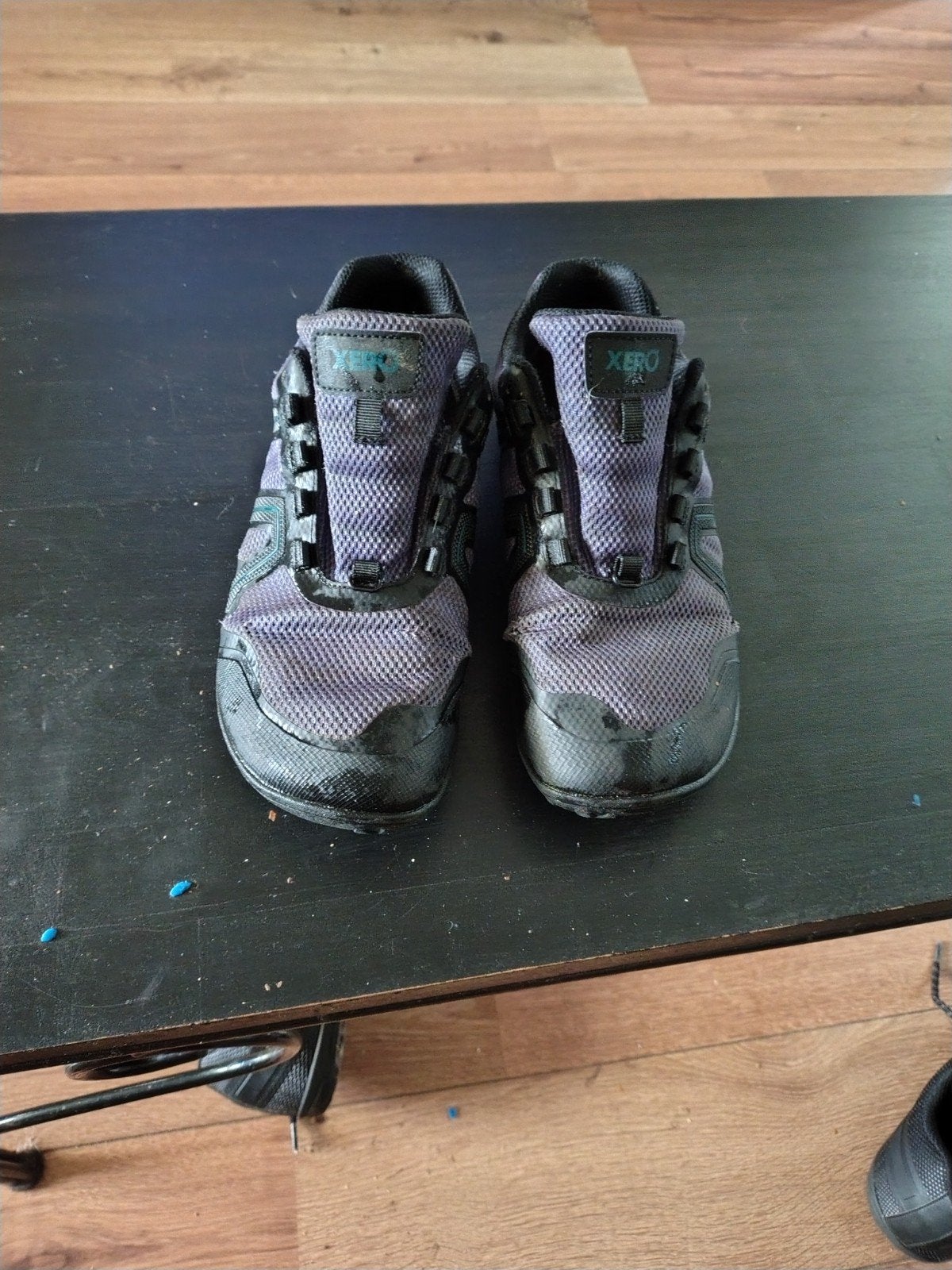 Xero Shoes Mesa Trail WP Dames - Maat 39, Kleding | Dames, Schoenen, Xero, Gedragen, Wandelschoenen, Ophalen of Verzenden