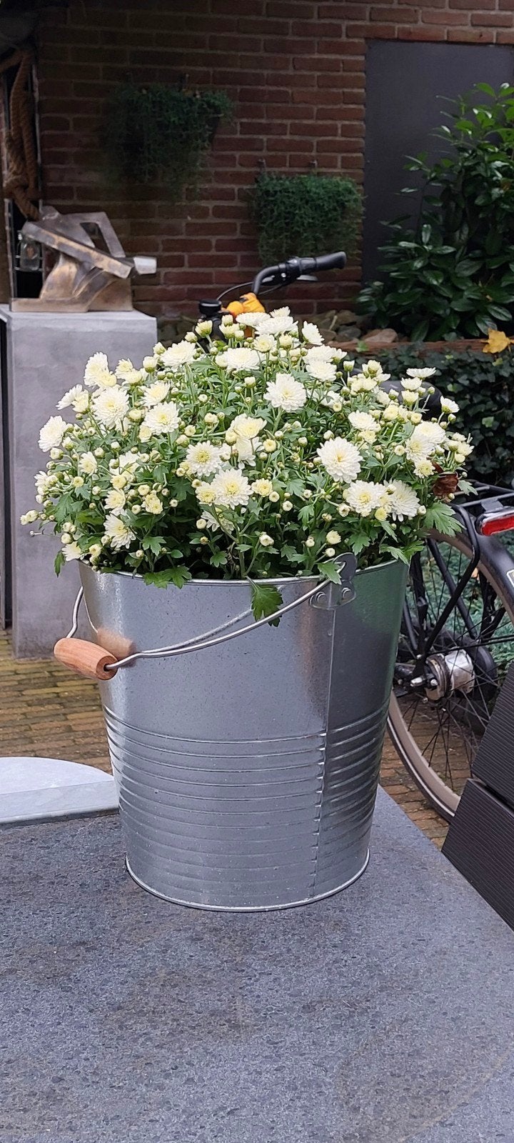 partij zinken emmer tuindecoratie mand bloempot GRATIS PLANT, Ophalen, Gebruikt, Minder dan 30 cm, Rond