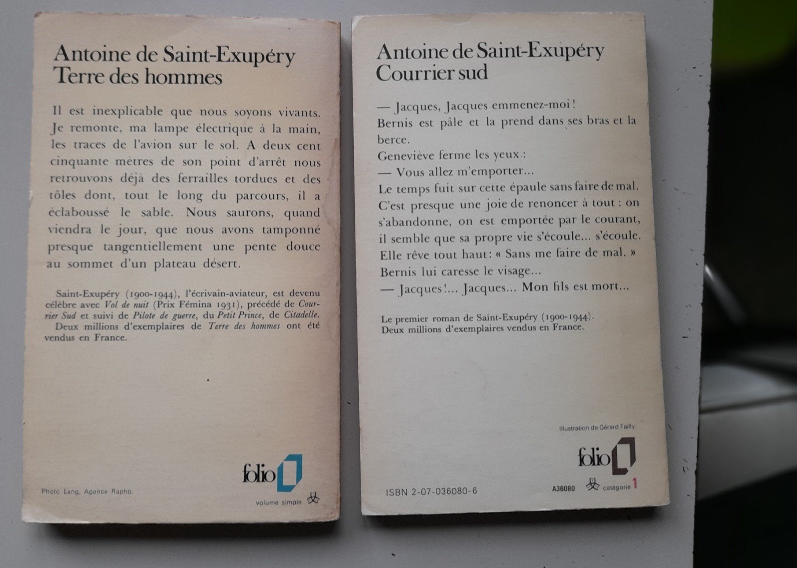 Saint-Exupery Courrier Sud Terre des Hommes, Ophalen of Verzenden, Gelezen